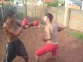 regis vs renato