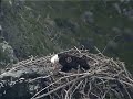 K01 Fixing Up the Nest