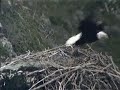 K01 Fixing Up the Nest