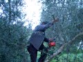 (PANTELIDAKIS) THE KILLER WITH THE CHAINSAW