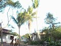 DSCN0576