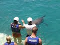 Xcaret Delfines 03 Xcaret Delfines 03