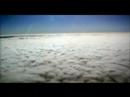 Guarda il video