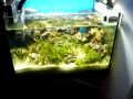Refugium Power Compact Light Test
