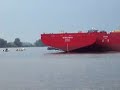 Seven Seas