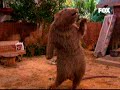 Rat�o do HipHop! (olha q Gay!)