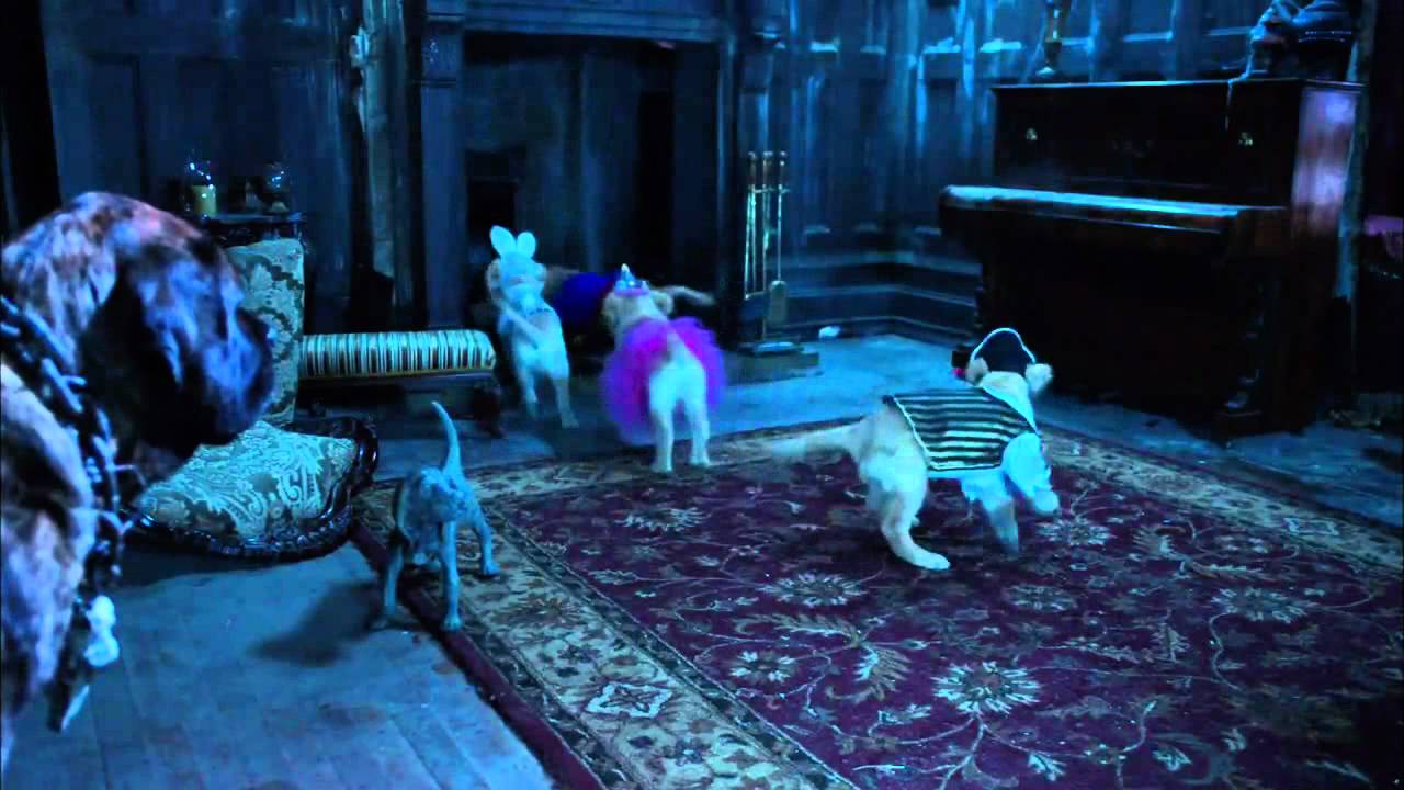 trailer-preview