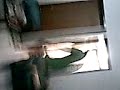 bkin kaos bola d rumah achiel