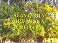 Slavonija-Hrvatska-C