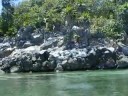 Secret Cove