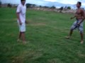 briga de galo