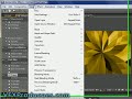 Tutorial After Effects portugues: Background Animado Fractal