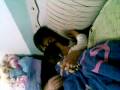 videos de 20081120(001).mp4