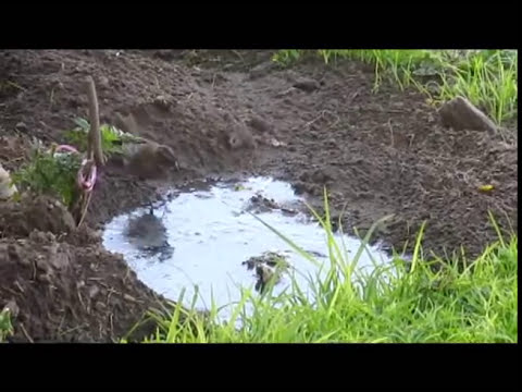 camaras mujeres bañandose