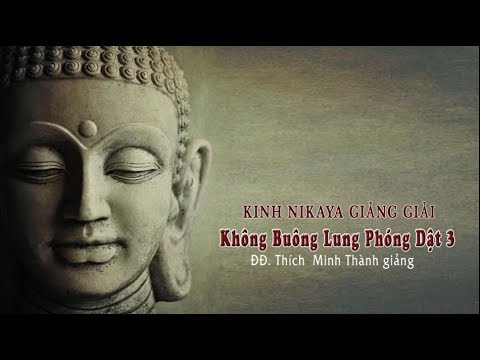 KINH NIKAYA GIẢNG GIẢI - Không Buông Lung Phóng Dật 3