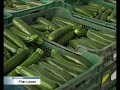 UN ESTUDIO DE CUAM Y LA UNIVERSIDAD DE ALMERÍA REFLEJA QUE LAS FRUTAS Y HORTALIZAS...
