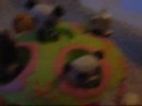 littlest pet shope movie littlest pet shope movie