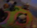 littlest pet shope movie