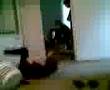 Wall crash