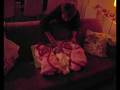videos de Klein kids 28 november 2008 2008_12_04_20_32_36.avi