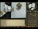 Solo Bandos - Stokenut - Godwars - Shard drop