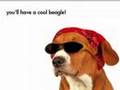 Beagle Training Made Easy