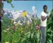 oromo new music raajuu m, kofli