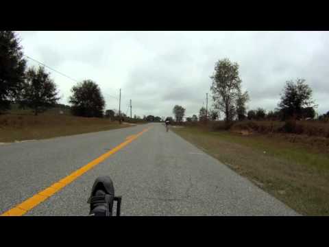 runners and riders runners and riders