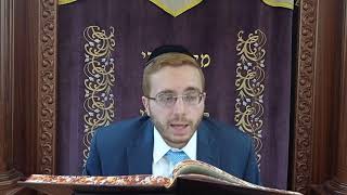 האם לבת כהן שזנתה עורכים פדיון לבן הנולד והלכות פדיון ומחלוקת קרח עם הרב אריאל כהן בכל האמת