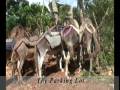 Haiti Project: AHDH