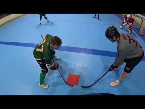 Bulls Žilina - HBK Hájické Diviaky 16:9 (7:2, 3:2, 6:5)