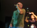 Pitbull musica fresca