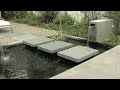 Backyard Pond & Fountain
