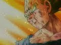 VEGETA LAGRIMAS DE UN GERRERO