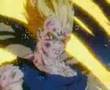 VEGETA LAGRIMAS DE UN GERRERO