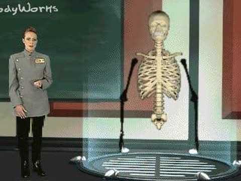 Imagen de previsualización de YouTube