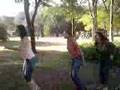 Proteina de Brasil - Dança dos Políticos