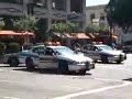 Vacilo das Policias Vacilo das Policias