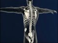 Suffering from Leg and Back Pain Suffering from Leg and Back Pain