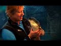 Grand Pacific Tours Ultimate New Zealand Experience