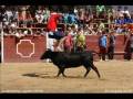 toros lumbrales fiestas 2008