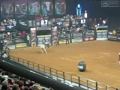 PBR ONE
