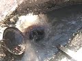 how my spring fed pond works how my spring fed pond works