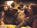 Bullmastiff video