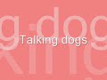 home Videos: funny dogs home Videos: funny dogs