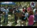 mount righteous - 2 songs