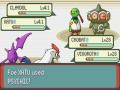 Pokemon Emerald Low-Level Game Part 13a - 7th Gym Leaders (1/2)