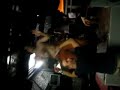 la festa sta finendo....ma c\