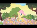 Canter Heroes