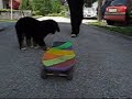 Bonie se rolka